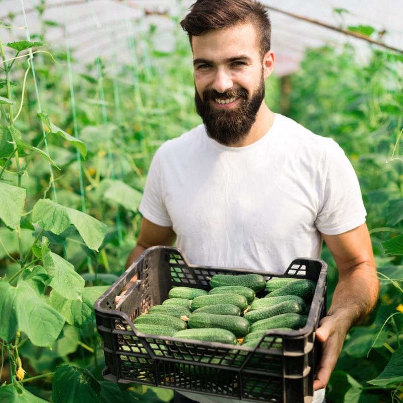 Jaime y la Agricultura moderna